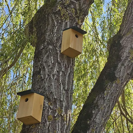 Hotel Campanile Deauville Saint-arnoult