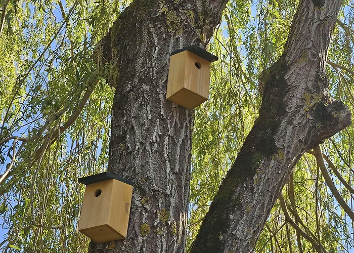 Ξενοδοχείο Campanile Deauville Saint-arnoult