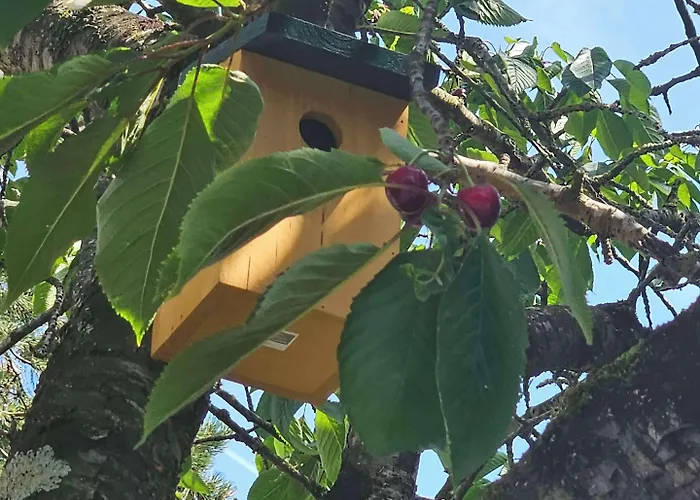 Ξενοδοχείο Campanile Deauville Saint-arnoult 3*