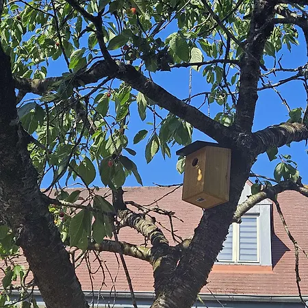 Hotel Campanile Deauville Saint-arnoult Saint-Arnoult (Calvados)