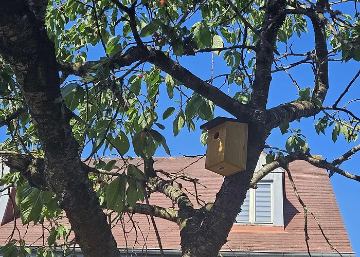 Hotel Campanile Deauville Saint-arnoult Saint-Arnoult (Calvados)