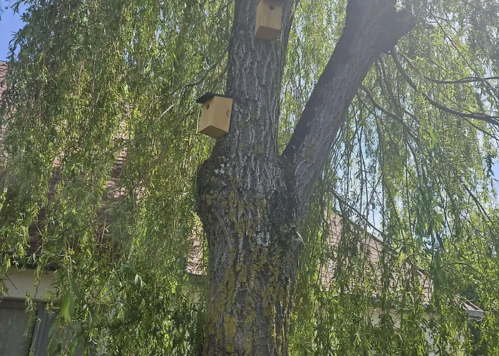 Hotel Campanile Deauville Saint-arnoult Saint-Arnoult (Calvados)